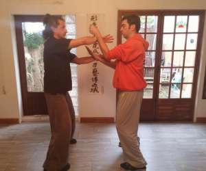 Tai Yin Wing Chun