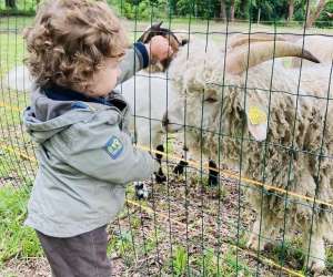 Association Ferme Pedagogique Les Minis Pattes