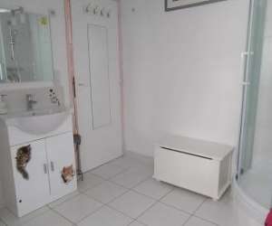 photo Les chats qui dorment Gourdon 10274