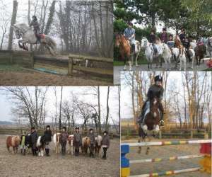 Centre De Randonne Equestre Du Hameau De La Patinerie