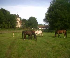 photo Morainval equitation Heilles 2872