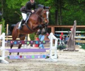 photo Morainval equitation Heilles 2873