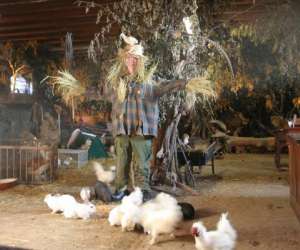 photo Ferme pdagogique de la liesse Le Nouvion En Thierache 2486