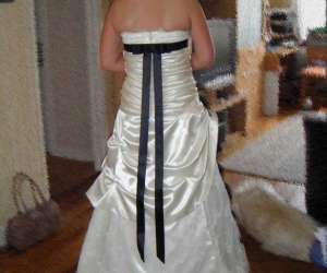 photo Le chat defile Beauvais 2566