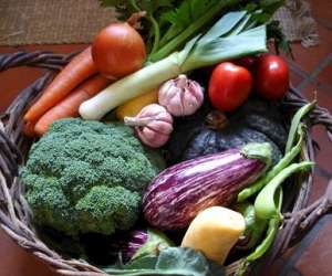 photo Primeur direct domicile Neuilly St Front 2616