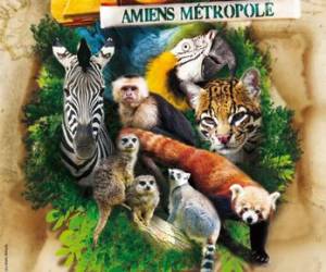Parc Zoologique D'amiens Parc Zoologique D'amiens