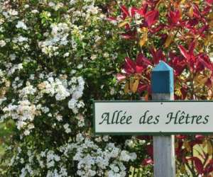 photo Domaine de diane Quend 4152