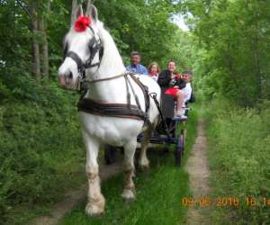 photo Pensee de le hamel Le Hamel 3537