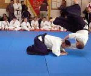 photo Ass.et.ai.  etude et enseignement de l'aikido Senlis 2943