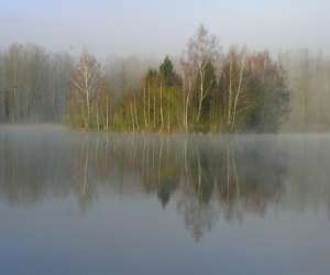 Etang De Peche