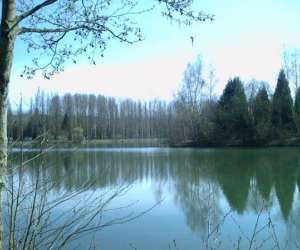 photo Etang de peche Hondainville 3139