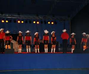 photo Cat country ambiance touch Corcy 3056