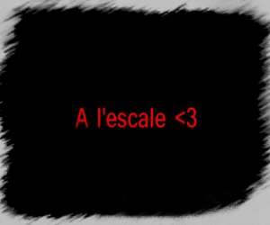 Bars Brasseries A L Escale Bars Brasseries A L Escale
