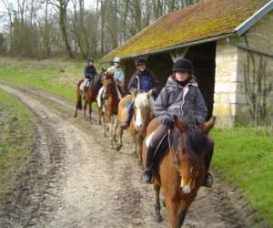 Centre De Tourisme Equestre De La Bve