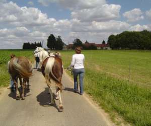 photo Centre de tourisme equestre de la bve Bouconville Vauclair 3162