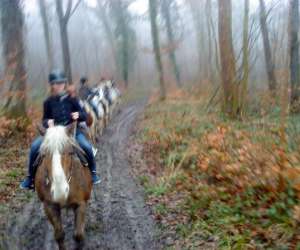 photo Centre de tourisme equestre de la bve Bouconville Vauclair 3163