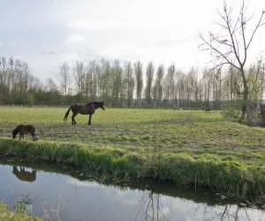 photo Gite peche en baie de somme Epagne Epagnette 3438