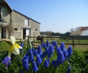 Centre Equestre Saint Victor