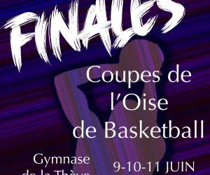 photo Sud basket oise Orry La Ville 5282