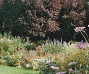 Pepiniere Entre Campagne Et Jardins