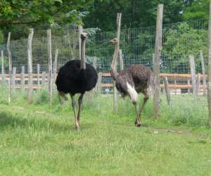 La Ferme Souchinet