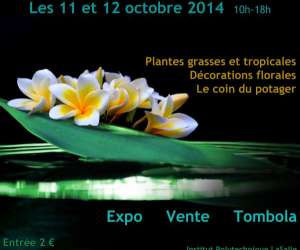 photo Gardenia: les journes florales en picardie Beauvais 4601