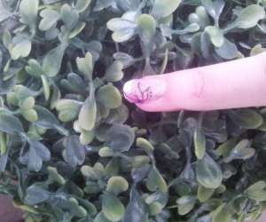 photo Nails art- styliste d' ongles  Crepy En Valois 4495