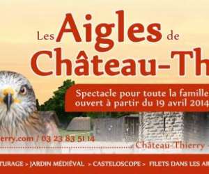 Les Aigles De Chteau-thierry