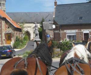 photo Picardie attelage  -  promenade en calche Trefcon 4599