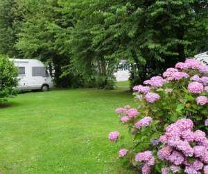 Camping Hortensias