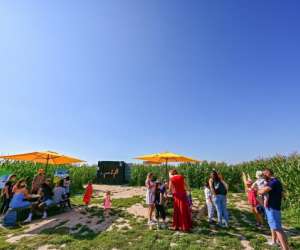photo Pop corn labyrinthe amiens (saint-fuscien) Amiens 5289