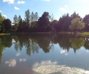 photo Les etangs de cilly 'peche a la truite' Cilly 4398