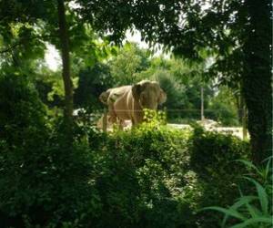 Parc Zoologique De La Petite Hotoie