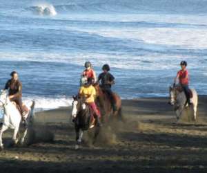 Equirun Centre Equestre