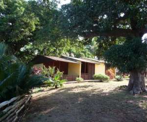photo Refuge tropical Mamoudzou 3050