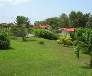 photo Chalets sous-le-vent - location bungalows guadeloupe Bouillante 2537