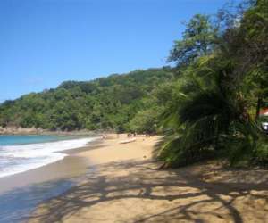 photo Chalets sous-le-vent - location bungalows guadeloupe Bouillante 2542