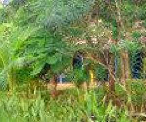 photo Chambres et tables d'htes am'bato Dzoumogne 2626