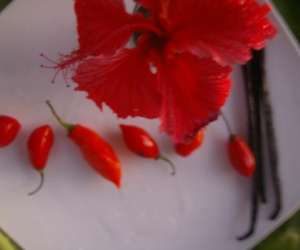 photo Lapsang kreol Fort De France 2651