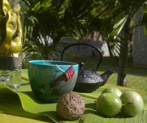 photo Lapsang kreol Fort De France 2652