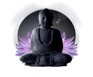 photo Primavera massage et plenitude Fort De France 2874
