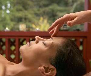 photo Primavera massage et plenitude Fort De France 2792