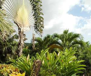 photo Chambres d'htes villa sapotille - martinique Ste Luce 2953