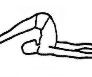 Yoga sivananda guadeloupe