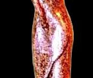 photo Art - alg St Joseph 3236
