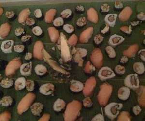 photo Sarl why not/restaurant bar lounge Kaweni 3373