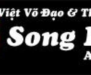 Viet Vo Dao Viet Vo Dao