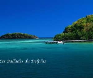 photo Les ballades du delphis Ste Luce 3804