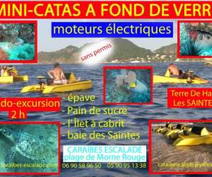 Caraibescalade - Catamarans Electriques A Fonds De Verr