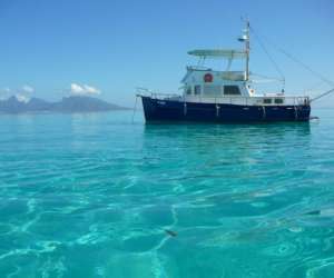 Nemo Cruises Nemo Cruises